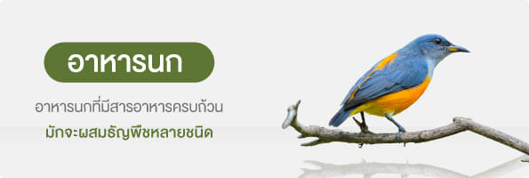 อาหารนก